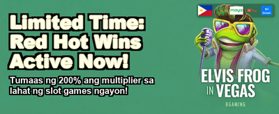 Premium Casino Experience